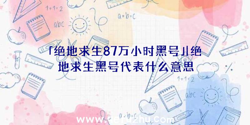 「绝地求生87万小时黑号」|绝地求生黑号代表什么意思